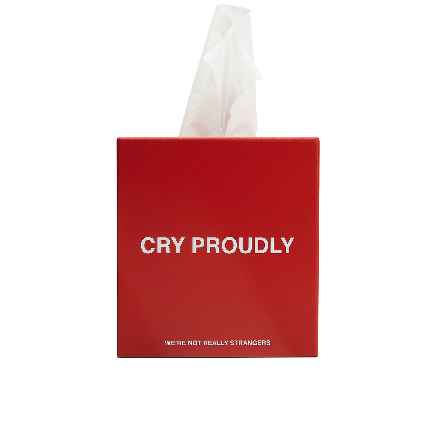 We're Not Really Strangers Cry Proudly Tissue Box Cover